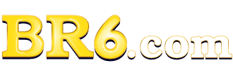 resultado brasileirao 2024